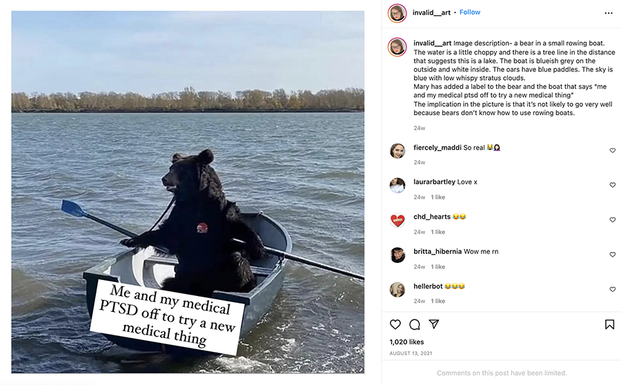 Ein Bär in einem kleinen Ruderboot. Das Wasser ist ein wenig kabbelig. Eine Baumreihe in der Ferne deutet auf einen See hin. Die Außenseite des Boots ist blau-grau, der Innenraum weiß. Die Ruderblätter sind blau. Tief am gleichfalls blauen Himmel befinden sich schleierartige Stratuswolken.  Mary hat Bär und Boot mit einer Textblase versehen. Der Text lautet: ‘Ich und meine medizinische PTBS unterwegs, um irgendeine neue Behandlung auszuprobieren.’ Das Bild lässt nichts Gutes vermuten, da Bären und Ruderboote nicht zusammenpassen. 