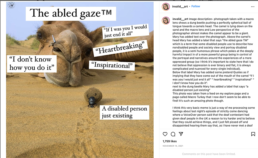photograph taken with a macro lens shows a dung beetle pushing a perfectly spherical ball of tongue towards a camels head. The camel is lying down on the sand and the macro lens and Low perspective of the photographer almost makes the camel appear to be a giant. Mary has added text over the photograph. Above the camel's head Mary has added a label that says 'the abled gaze TM' which is a term that some disabled people use to describe how nondisabled people and society view and portray disabled people, it is a semi humorous phrase which pokes at the deeply harmful impact in of a more powerful group being in control of the portrayal and narratives around the experiences of a more oppressed group (so I think it's important to state here that I do not believe that oppression is ever binary and flat, it is always complicated and nuanced for every single individual). Below that label Mary has added some pretend Quotes as if implying that they have come out of the mouth of the camel 'If I was you I would just end it all' 'heartbreaking' 'inspirational' 'I don't know how you do it'. next to the dung beetle Mary has added a label that says 'a disabled person just existing' This photo was taken from a feed on my [Mary’s] explore page and a page called Macro Turkey.